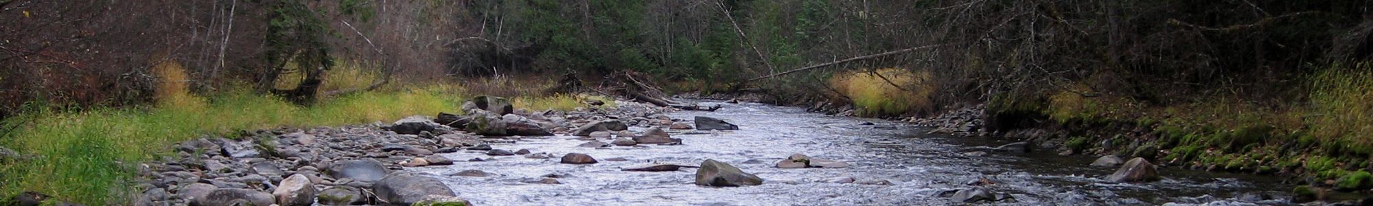 About WaterSmith